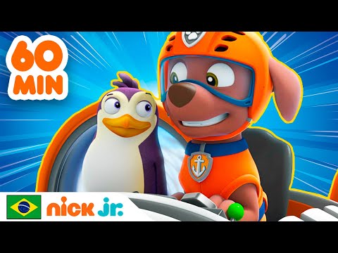 Capa de Patrulha Canina | 1 HORA dos melhores resgates animais! | Nick Jr. em Português