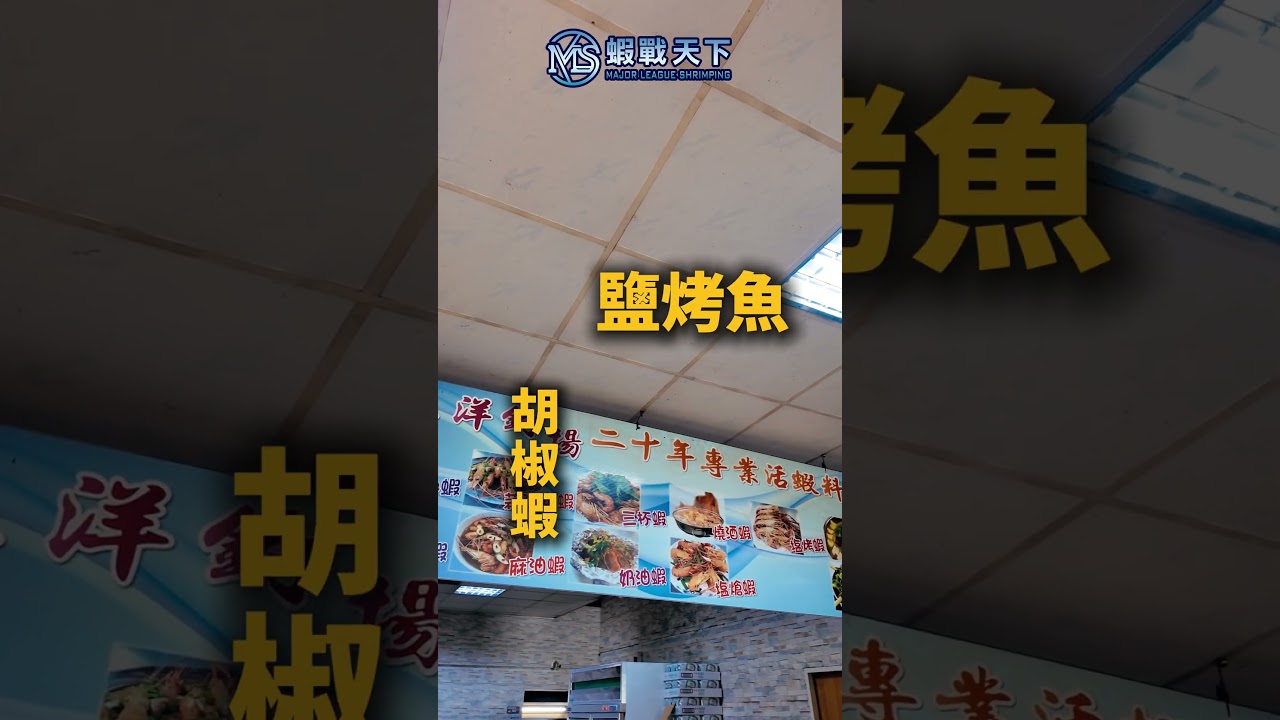 今天這間蝦場Ep.13【MLS蝦戰天下】#17shrimp #台湾のエビ釣り #shrimpfishing #새우낚시