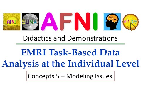[AFNI Academy] AFNI Time Series Analysis (part 5/8): Modeling Issues