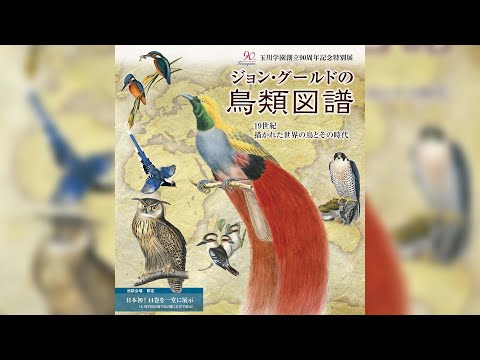 玉川学園創立90周年記念特別展「ジョン・グールドの鳥類図譜―19世紀 描かれた世界の鳥とその時代」