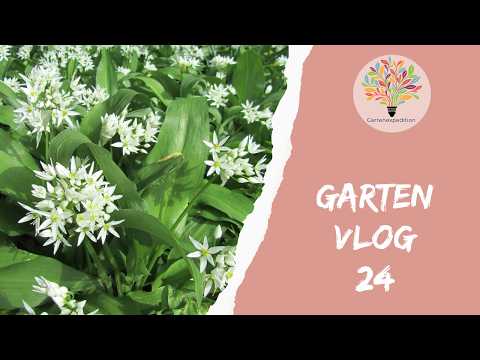 Von Schmetterlingen, Kochrezepten und einer Terrasse - Gartenvlog 24 - Gartenexpedition #naturgarten