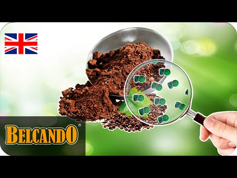 download lagu mp3 mp4 Grape Seed Flour Nutrition, download lagu Grape Seed Flour Nutrition gratis, unduh video klip Grape Seed Flour Nutrition