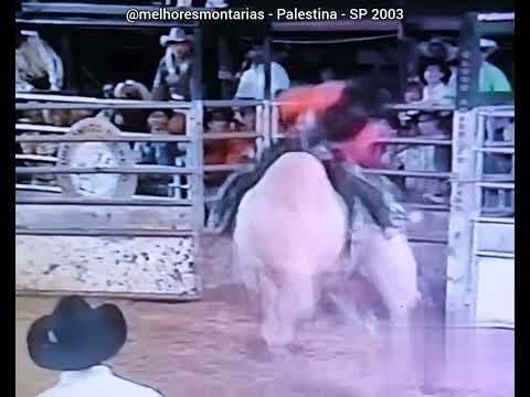 🇧🇷 Robson Palermo x Nevada - Rodeio de Palestina 2003 #rodeio #rodeo