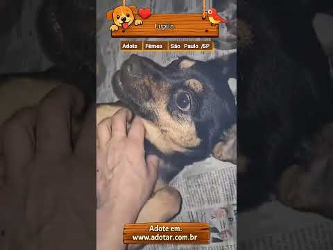Vídeo de Lupita