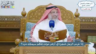 4342 - إذا غرس الرجل شجرة في أرض موات فكم سيملك منها؟ - عثمان الخميس