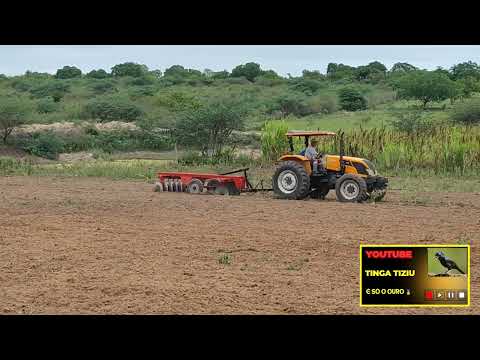 Preparando a terra para o plantio zona rural de Estrela de Alagoas. AL.