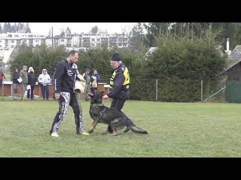 Svod NO 2017 - Xerxes Manepo Ideál