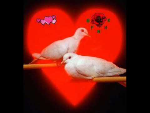 Kk-T  ft  aLBy'StaR  ft  Xony-G &  Street Wolf  - 2 Zogj   2o1o.wmv