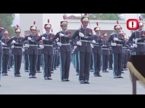 [Formatura Enjoy] AMAN 2015