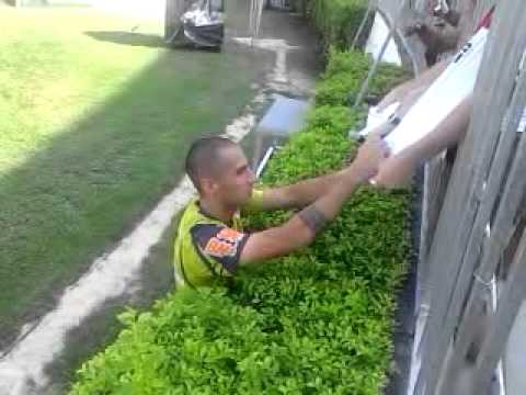 Leandro Chaparro distribui autógrafos em São Januário (20/07/2011) - Repórter da Colina