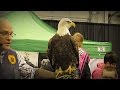 Random Moments At The Wildlife Festival - YouTube