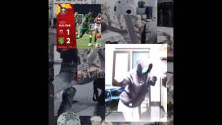 Download lagu PERSEBAYA DAY story wa #2 mp3 Download lagu PERSEBAYA DAY story wa #2 mp3