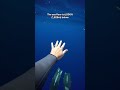 Did this video make you anxious?. 😳 #thalassophobia #ocean #deepsea #deepwater #phobia