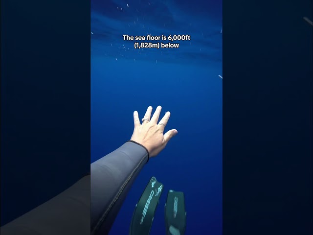 Did this video make you anxious?. 😳 #thalassophobia #ocean #deepsea #deepwater #phobia