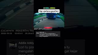 Download lagu Sipi-sipi kena tenyeh lori mp3 Download lagu Sipi-sipi kena tenyeh lori mp3