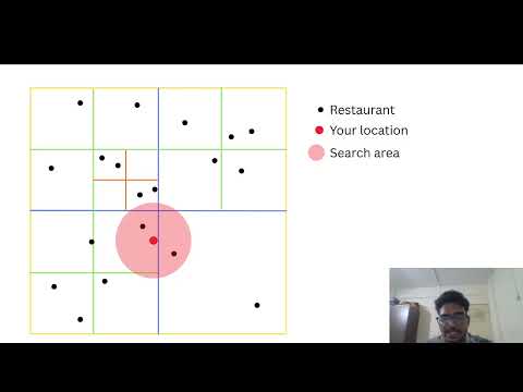 Why Top Minds Choose Willow Trie Real Fast Focus Transformations