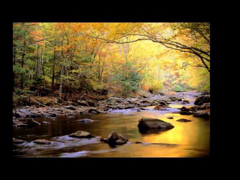 Costel şi fr Traian Dorz - Unde să mă duc eu Doamne cînd - mel Gicu Petrescu