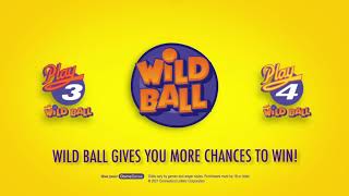 How To Play Play3/Play4 Wild Ball