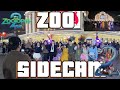 SIDECAM Shakira Zoo From Zootopia 2 Dance Cover And Choreography By TADA TEAM