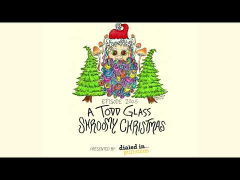EP 200.5: A Todd Glass Shroomy Christmas - Andy Frasco's World Saving Podcast