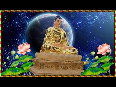 Hamchin nagva do Хар хэл ам,хараал чатга хариулна