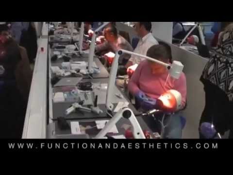 Function and Aesthetics