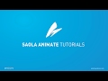 How to use Saola Animate?
