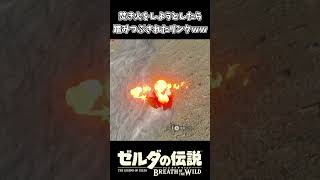 【ブレワイ】キャンプの邪魔されるリンクｗｗ【ゼルダの伝説 ブレス オブ ザ ワイルド】