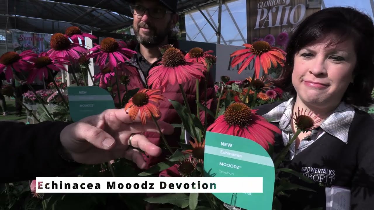 Spring Trials 2023: HilverdaFlorist