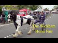 Gypsy Horse Fair At Wickham