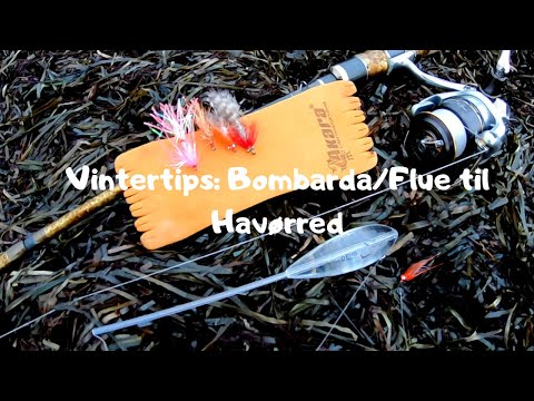 Vintertips: Bombarda/flue til Havørred