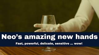 Neo's amazing new hands - just released!