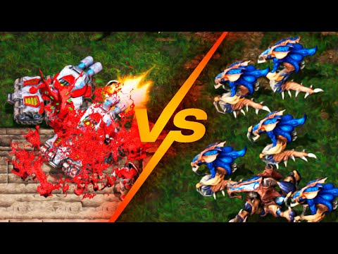 [SDS3] sSak vs Sacsri (Bo7)