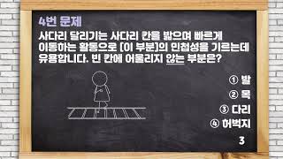 퀴즈로 배우는 '민첩성'이란?