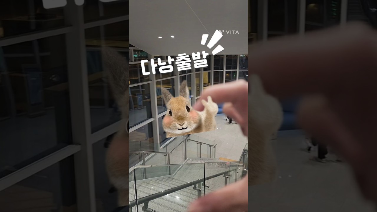 다낭여행#다낭 #호이안#졸리비#여행#베트남#vietnam #danang #hoian#추천  #츄아26#브이로…