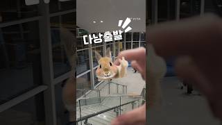 다낭여행#다낭 #호이안#졸리비#여행#베트남#vietnam #danang #hoian#추천  #츄아26#브이로…