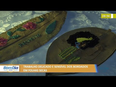 Trabalho delicado e sensiÌvel dos bordados em folhas secas 24 09 2021