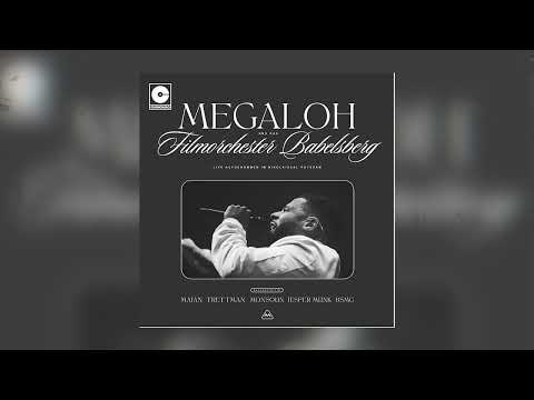 Megaloh und das Deutsche Filmorchester Babelsberg – Spätes Erwachen ft. MAJAN (LIVE) [Visualizer]