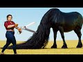 ️SCISSORS Vs MATTED MONSTER Watch Us Fix This Horse S 3 Year Old Coat Pretty Girl Rescue Cleaning