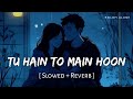 Tu Hain Toh Main Hoon Lofi Slowed Reverb Arijit Singh Afsana Khan Sky Force RN Lofi Alone