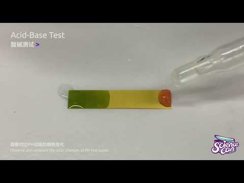 Acid-Base Test - Bubble Science Experiment Deluxe Lab