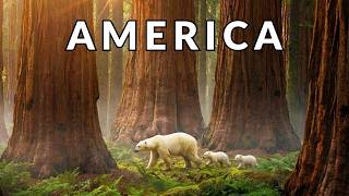 America Before Humans: Ancient Landscapes You Have to See to Believe | 4K Travel Documentary