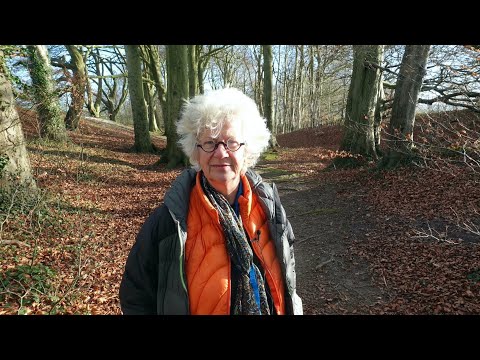 Significant Shift of Energies in Trees and Us