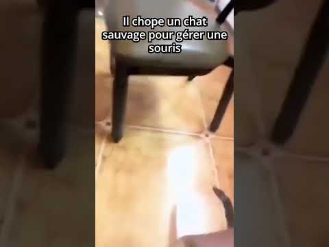 Il a Compris La Mission