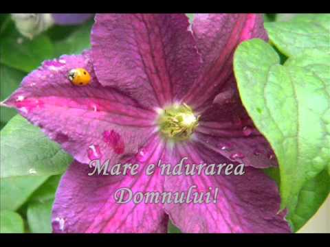 Grupul Filadelfia - Mare e-ndurarea Domnului