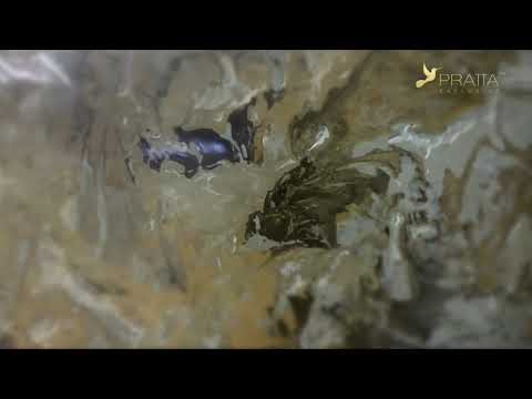 SEQUOIA - giallo marble effect - overview