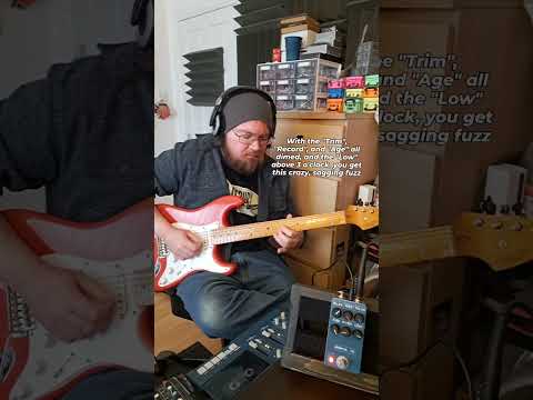 JSA Effects Porta IV | Reverb UK