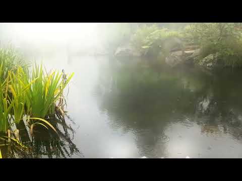 Gary Afterlife - Teardrops [Official Music Video]