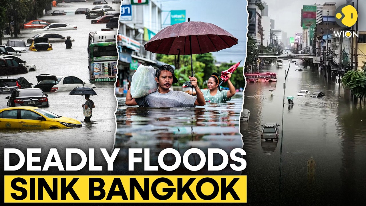 Thailand Flood LIVE: Bangkok Declared As FLOOD DISASTER Zone, Over 700,000 Affected | WION