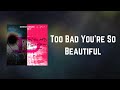 Duran Duran  - Too Bad You're So Beautiful (Lyrics)